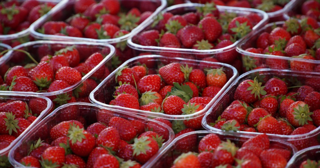 shopping for fresh nutrition