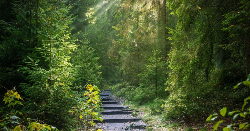 nutrition career paths