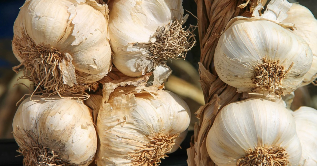 food and meaning in family and culture