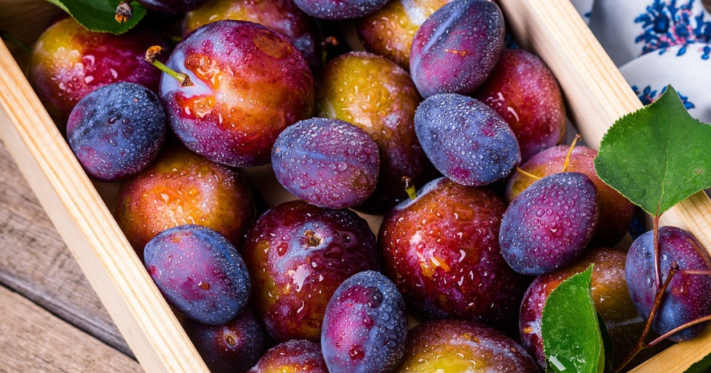 fresh nutrition